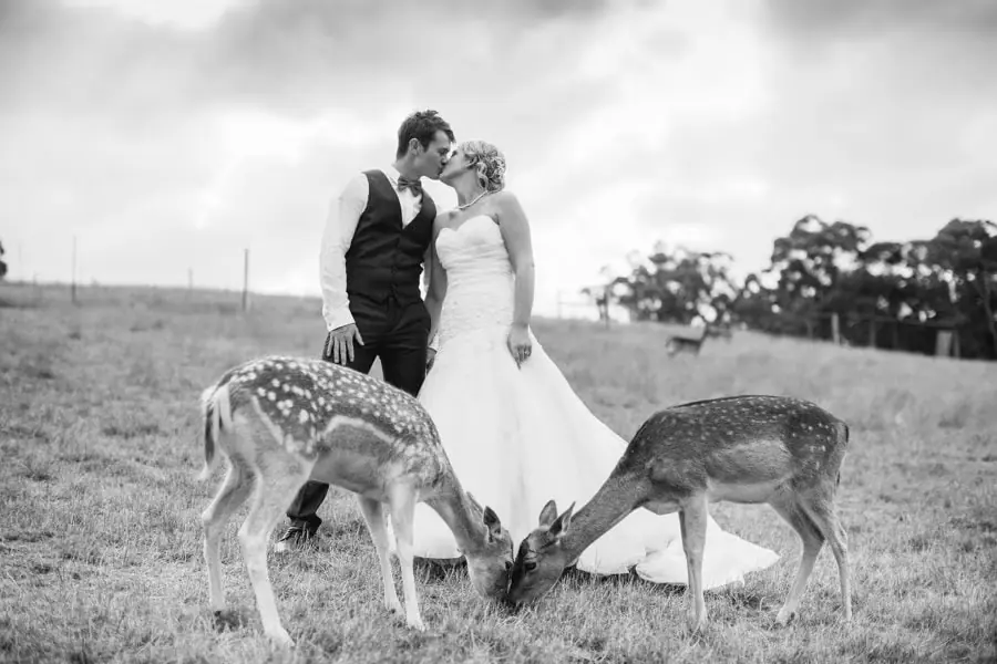 Michael Briggs Photography_0037