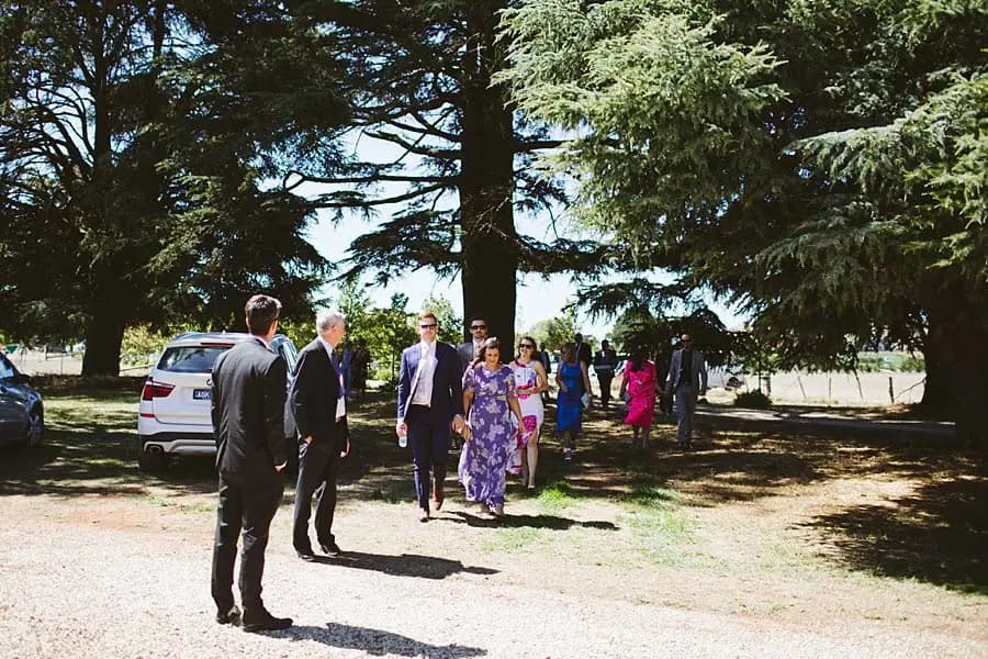 Guests gather beneath tall trees beside a parked car.