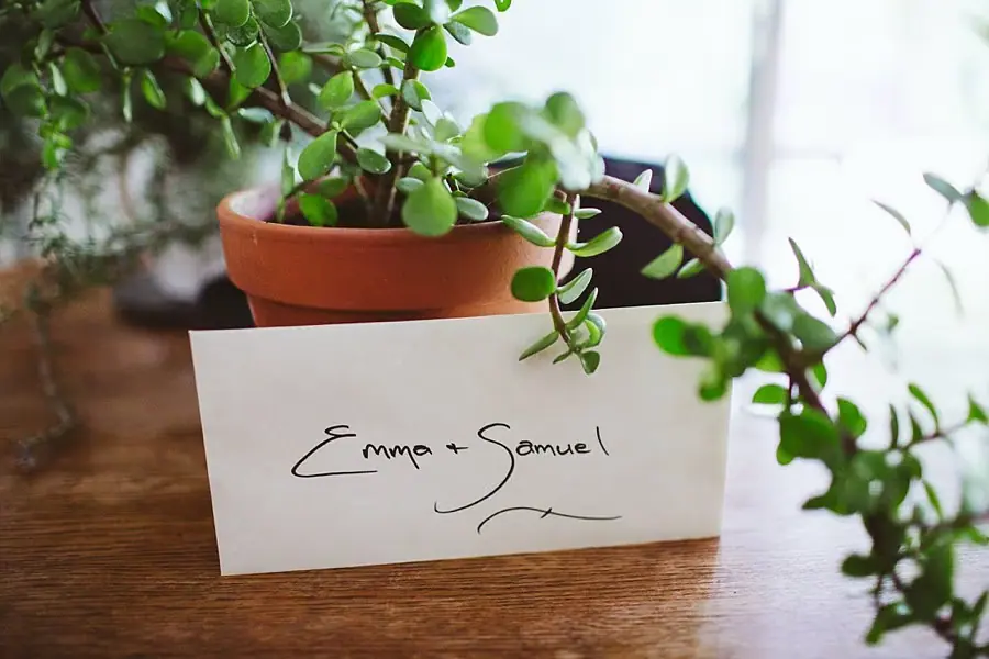 Handwritten wedding card beside a potted plant.