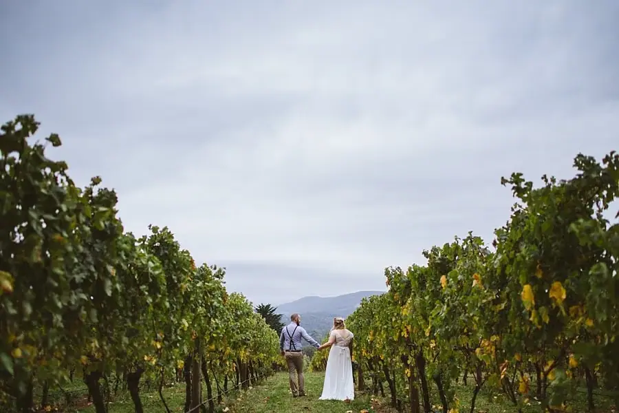 Couple standing between vineyard rows beneath an overcast sky.
