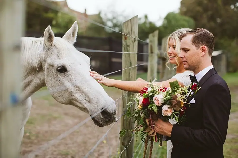 Bride reaching toward a white horse as the groom stands beside her.