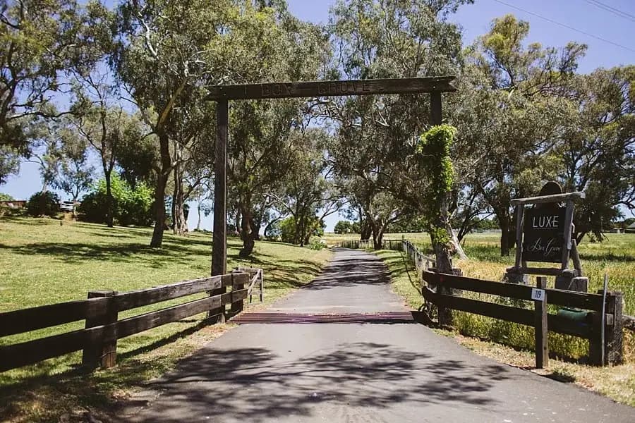 Tree-lined driveway and timber entrance gate at Boxgrove