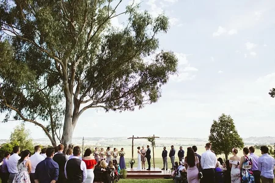 Outdoor ceremony beneath a tree with guests watching