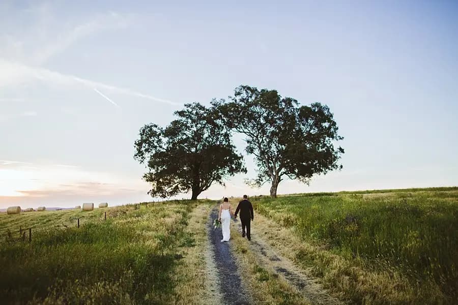 Couple walking toward a tree in the evening light