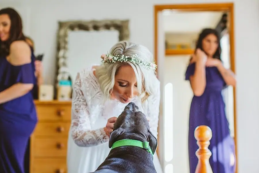 Bride bending down to kiss a dark dog.