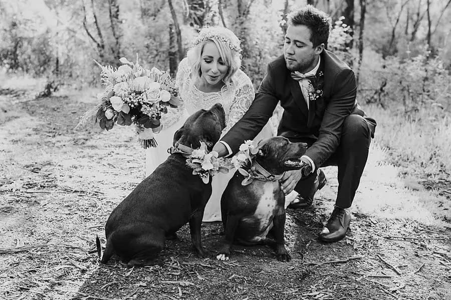Black-and-white photograph of the couple crouching to pat two dogs.