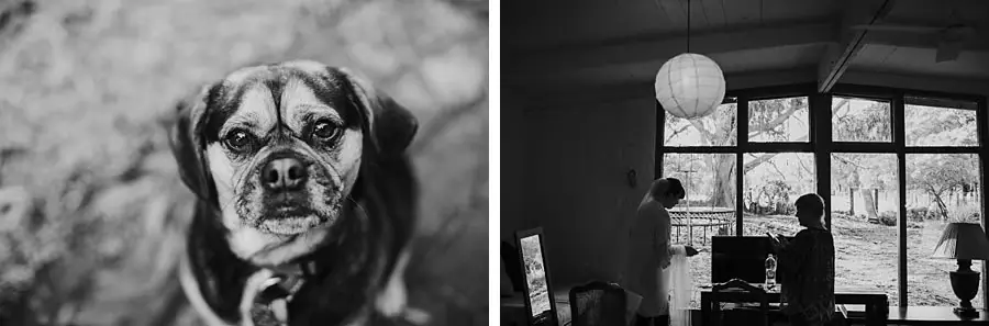 Two black-and-white photographs of a dog and women preparing beside a window.