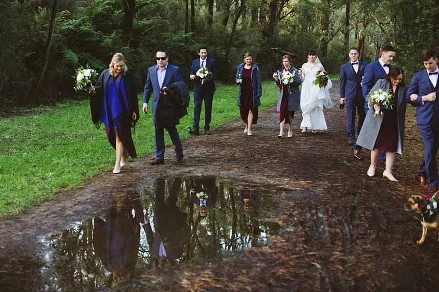 Wedding party walking around a puddle on a wooded path.
