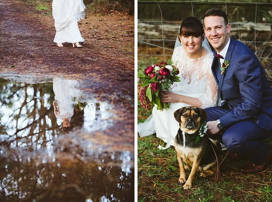 Three photographs of the bride's feet, a puddle reflection and the couple posing with a dog.