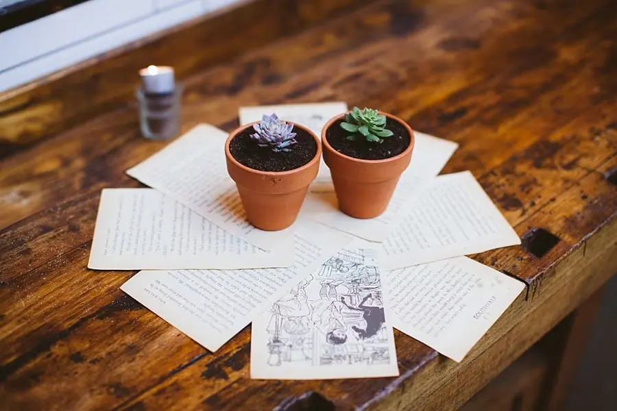 Small potted succulents and printed pages arranged on a wooden windowsill.