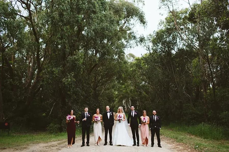 Wide portrait of the wedding party standing together beneath tall woodland trees.