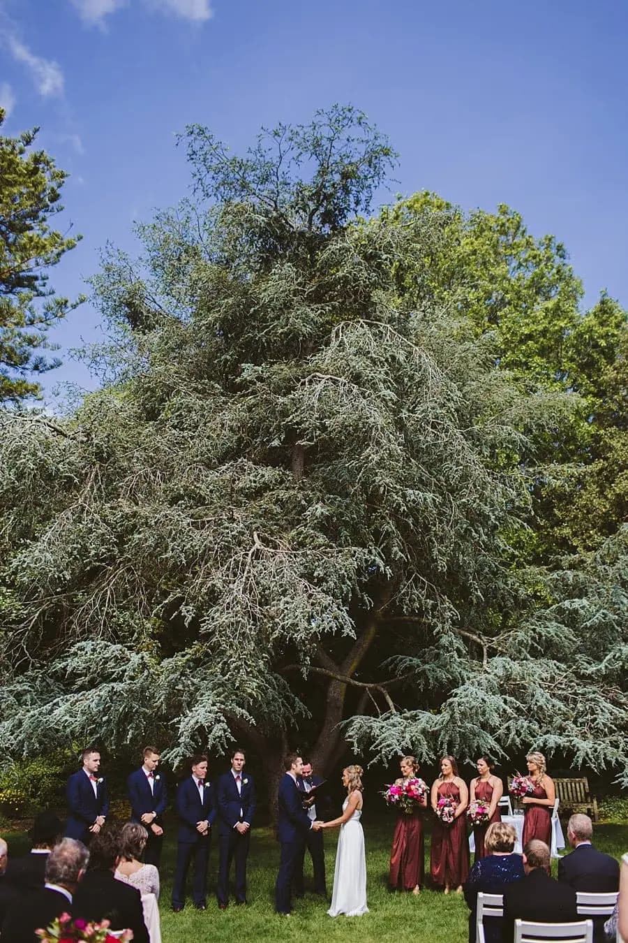Wedding party standing beneath a tall tree during an outdoor ceremony.