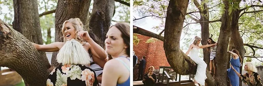 Two photographs of the bride and guests laughing and climbing beside a large branching tree.