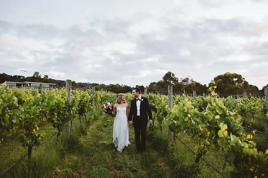 Bride and groom walking together between rows of green vines.