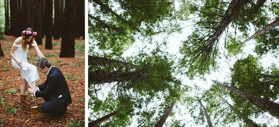 Two photographs of a groom helping the bride with her boot and a view up through the redwood canopy.