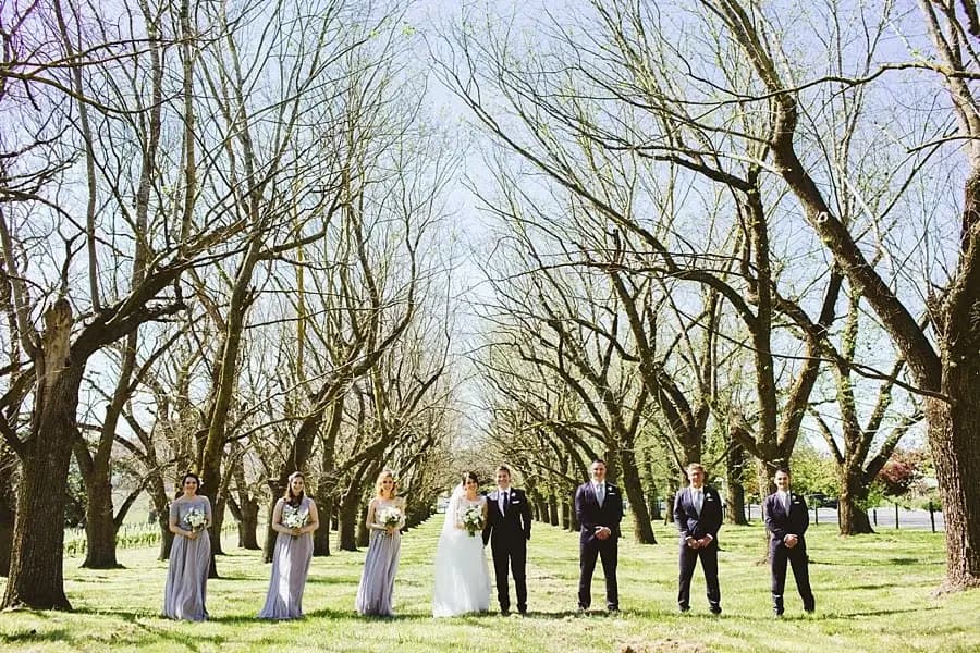 Wedding party spaced across a grassy avenue lined with bare-branched trees.