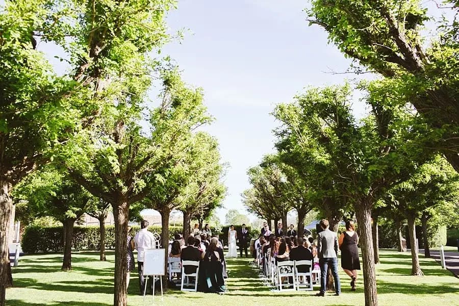 Outdoor ceremony viewed from behind the seated guests among rows of trees.