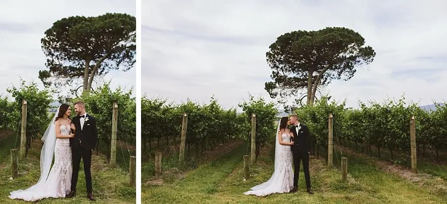 Two portraits of the couple beside grapevines beneath a broad pine tree.