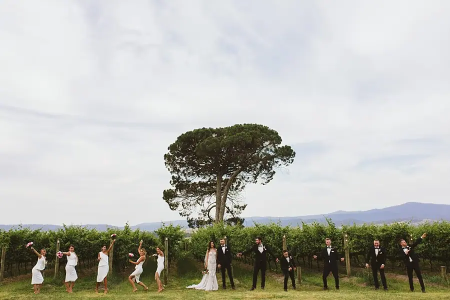 Wide view of the wedding party walking along vineyard rows beneath a large pine tree.