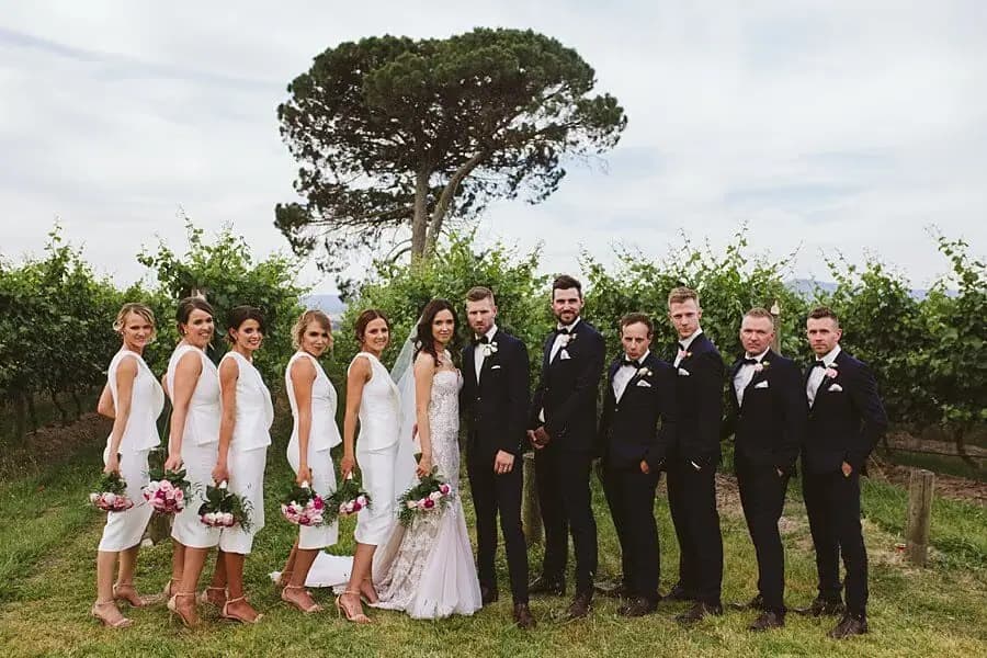 Wedding party posing beside grapevines beneath a broad pine tree.