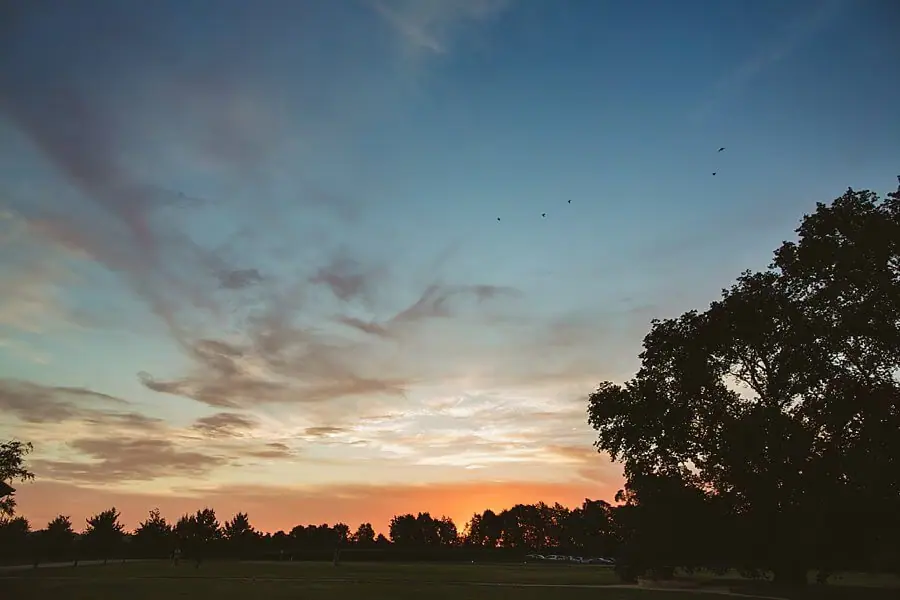 Orange sunset above trees and distant hills.