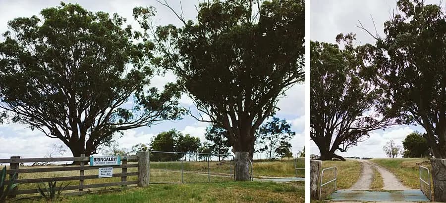 Two photographs of a rural property gate and a tree-lined driveway