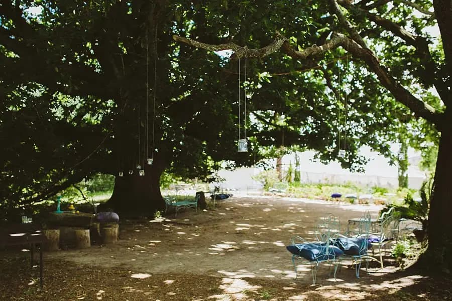 Shaded garden seating beneath a broad tree hung with small decorations