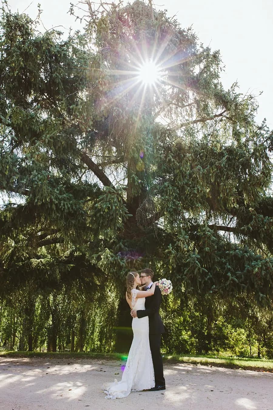 Bride and groom embracing beneath a large tree with sunlight shining through its branches