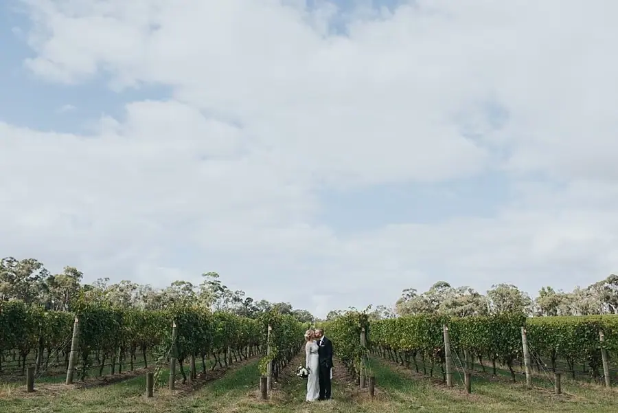 Wide portrait of the couple beneath a cloudy sky between rows of grapevines.