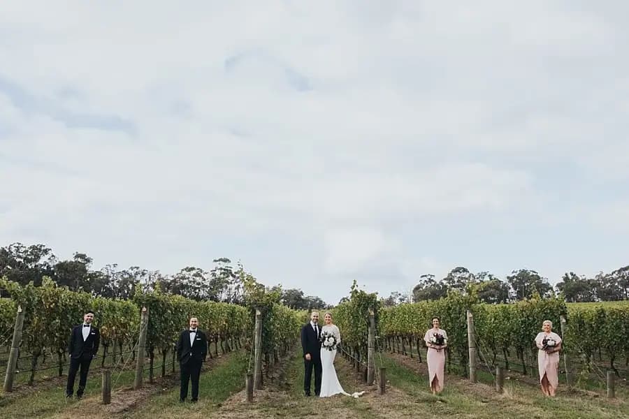 Wedding party spaced along vineyard rows beneath a wide cloudy sky.