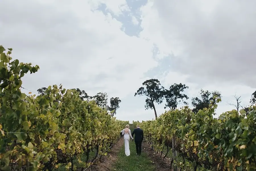 Couple walking away between leafy vineyard rows beneath clouds.