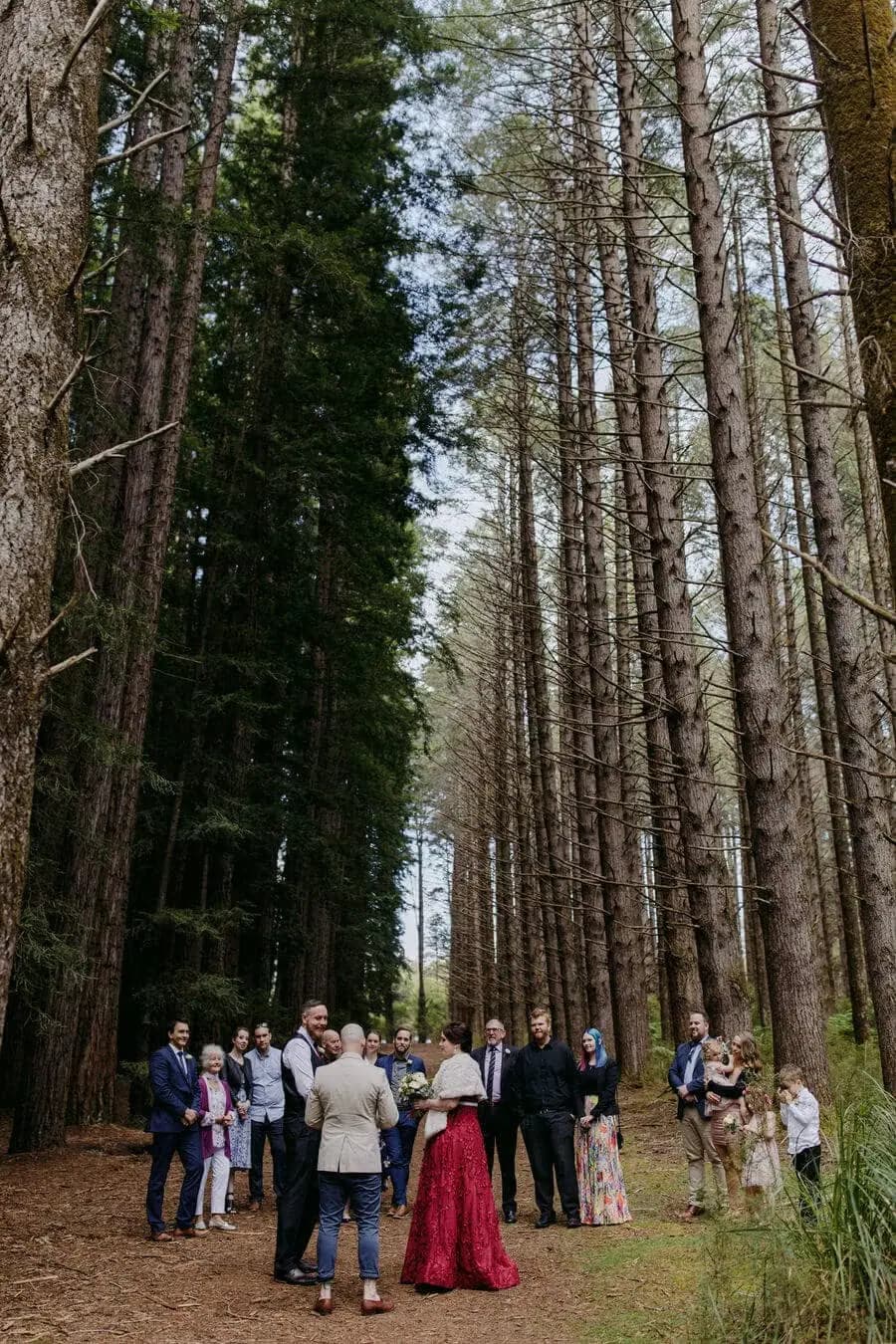 Group of guests walking through tall forest trees.