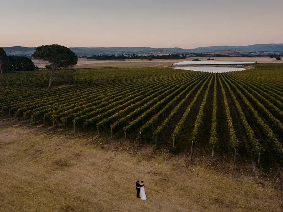 Aerial view of vineyard rows and a small couple near their edge at dusk.