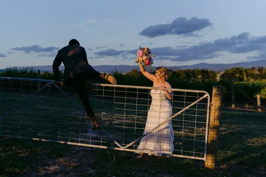 Groom climbing over a farm gate as the bride raises her bouquet beside him.