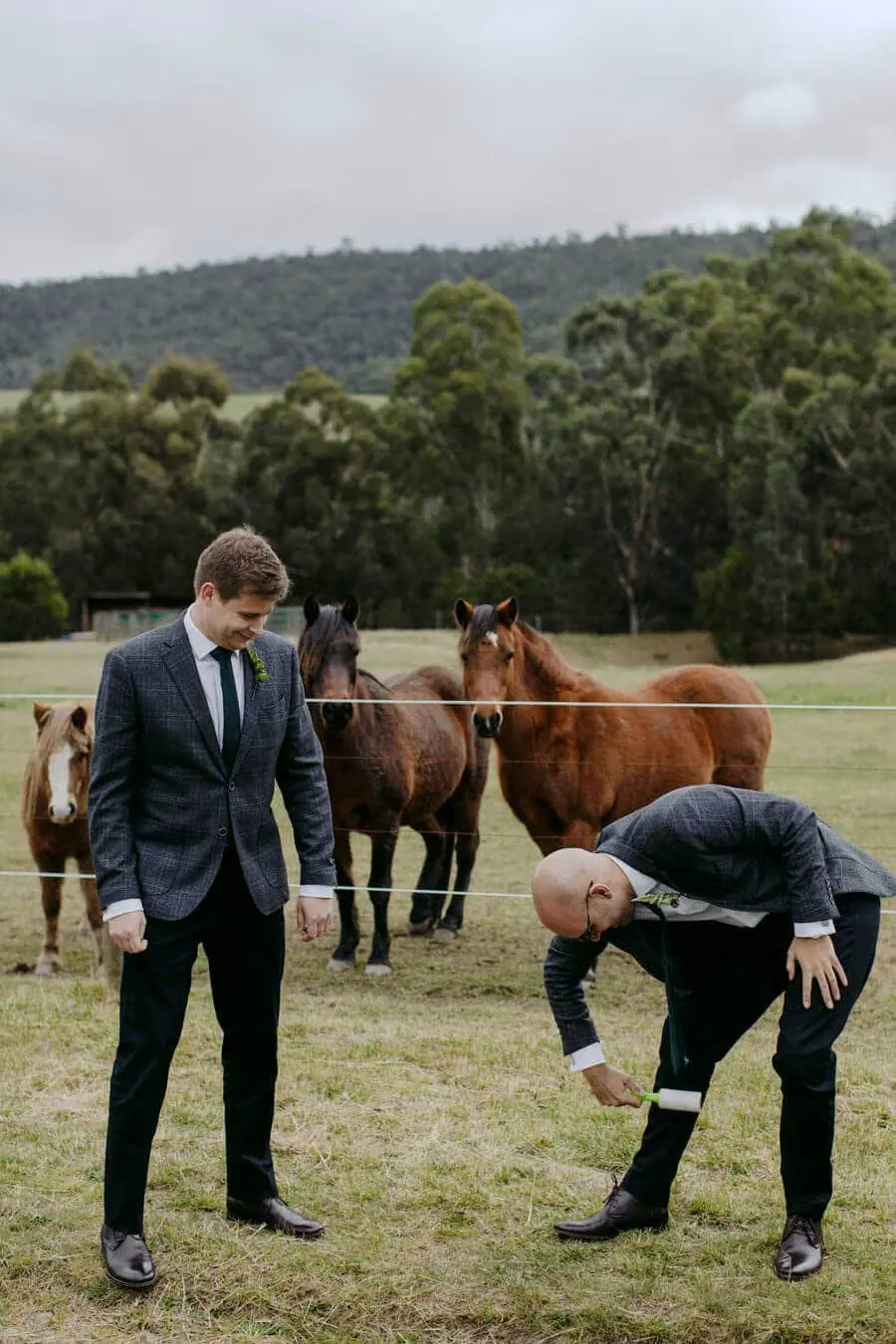 Two suited men standing beside horses in a paddock.
