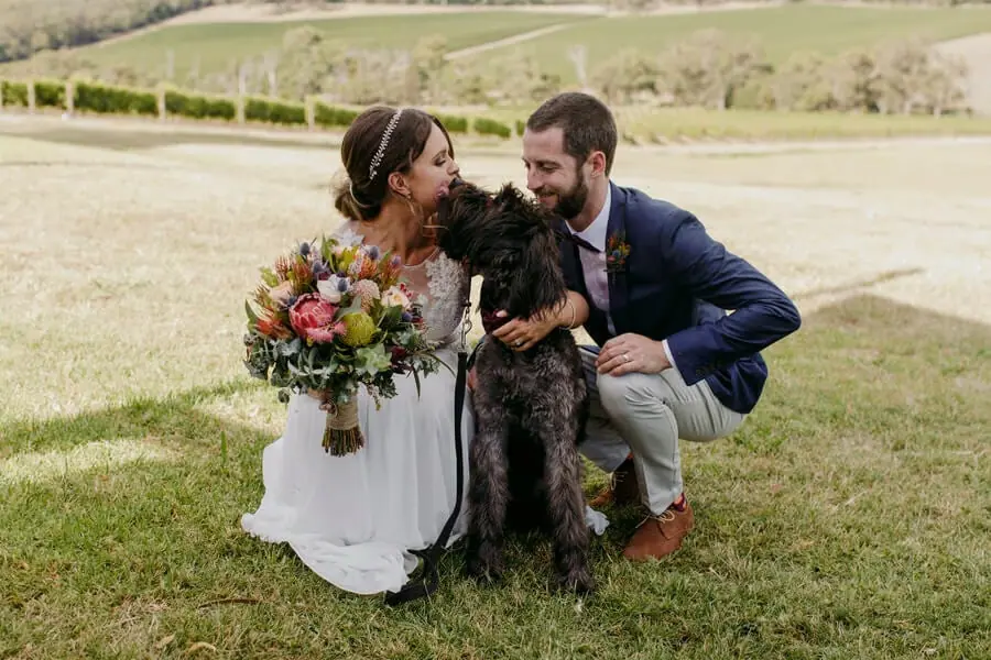 Bride and groom crouching beside a large black dog on the lawn.