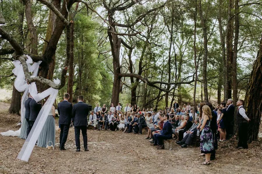 Wide view of a woodland ceremony beneath draped fabric and tall trees.