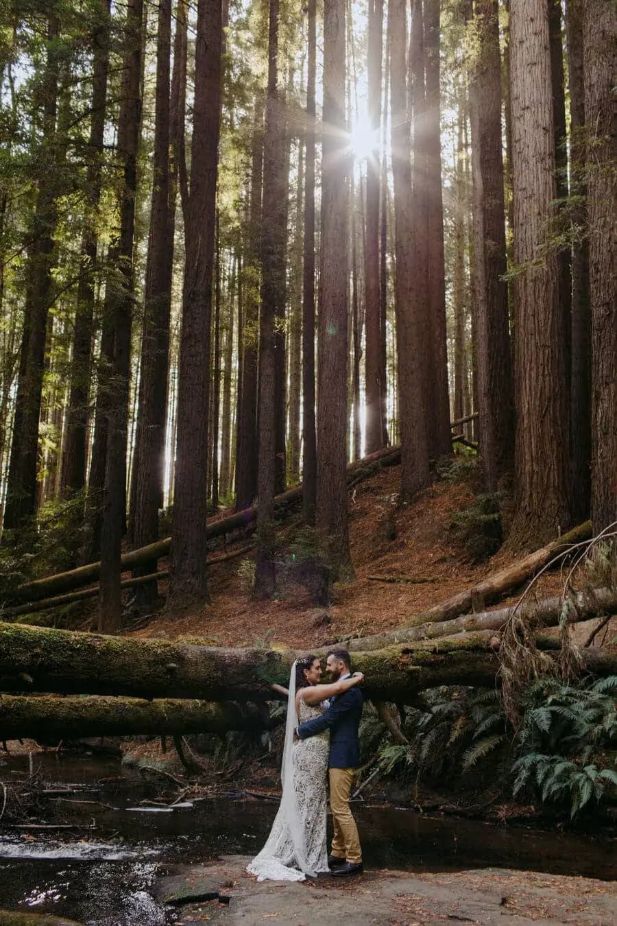 Couple embracing beside a forest stream beneath tall sunlit trees.
