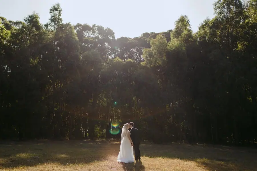 Wide view of a couple embracing on a sunlit clearing beside dense trees.