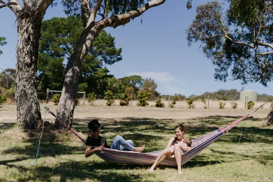 Two women relaxing in a hammock beneath a large tree