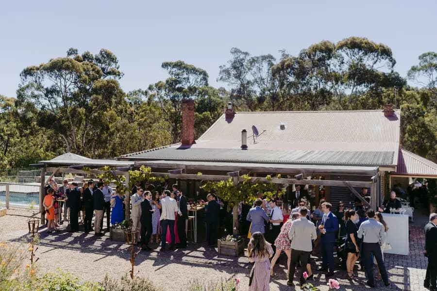 Guests gathered outside a veranda shaded by leafy vines