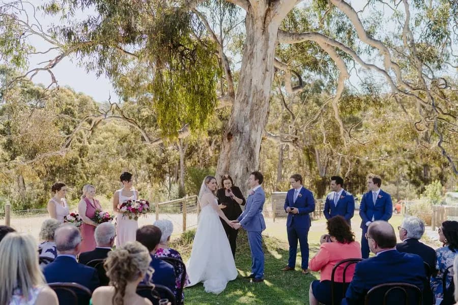 Wedding party gathered beneath a large tree before seated guests