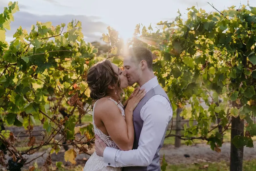 Couple kisses beside sunlit vineyard foliage.