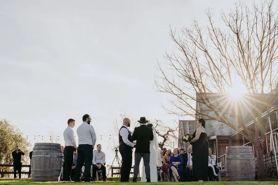 Low view of an outdoor wedding ceremony with sunlight beside a bare tree.