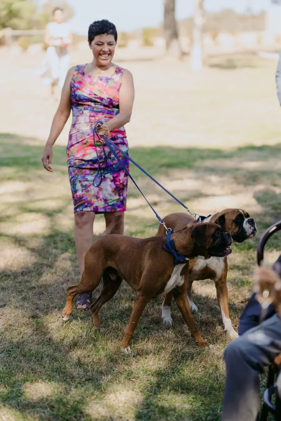 Woman holds two dogs on leads at the outdoor wedding.