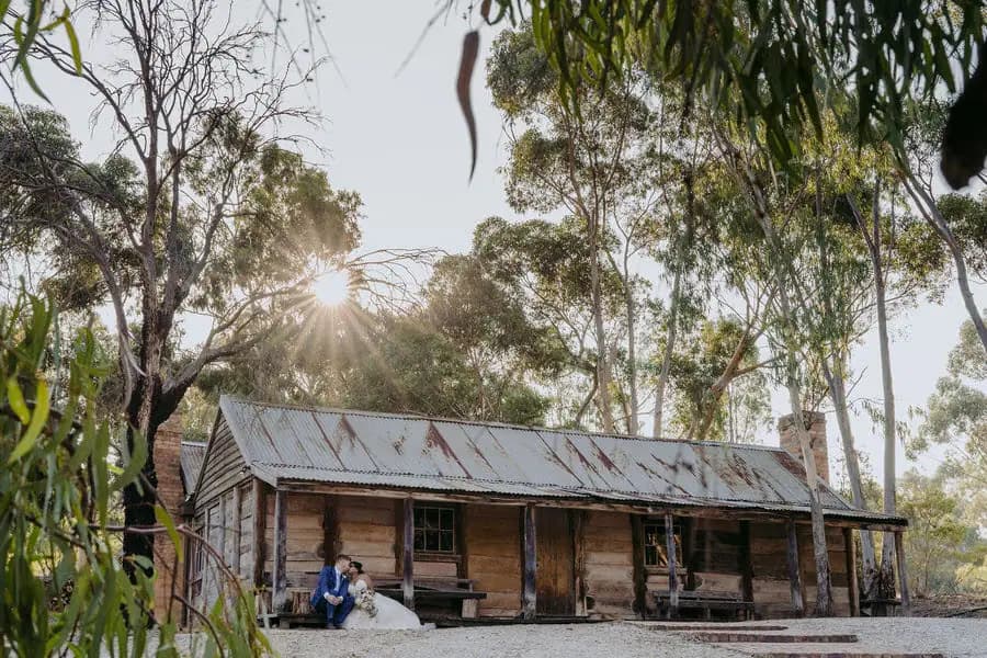Rustic wooden cabin beneath leafy trees in warm sunlight.