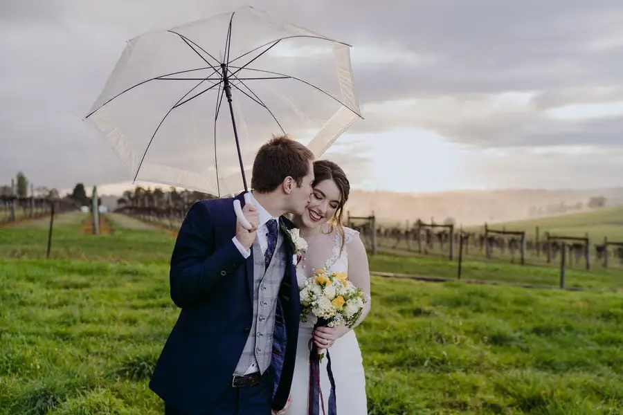 Couple kisses beneath a clear umbrella beside vineyard rows at sunset.
