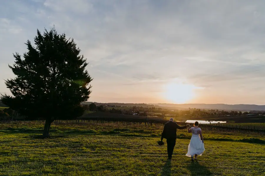 Distant couple walks hand in hand beside a tree toward a golden sunset.