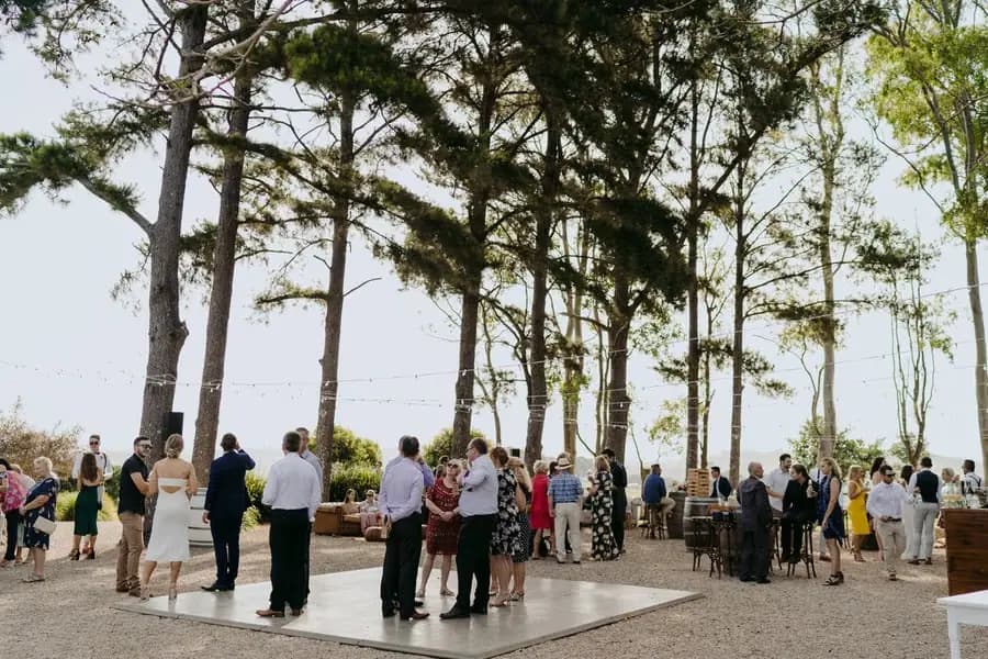 Guests gathered beneath tall trees around the outdoor reception area