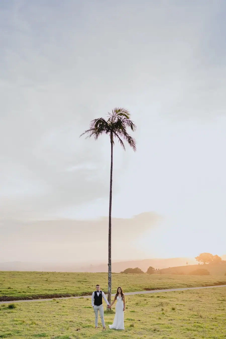 Bride and groom standing beneath a tall palm tree in open countryside at sunset